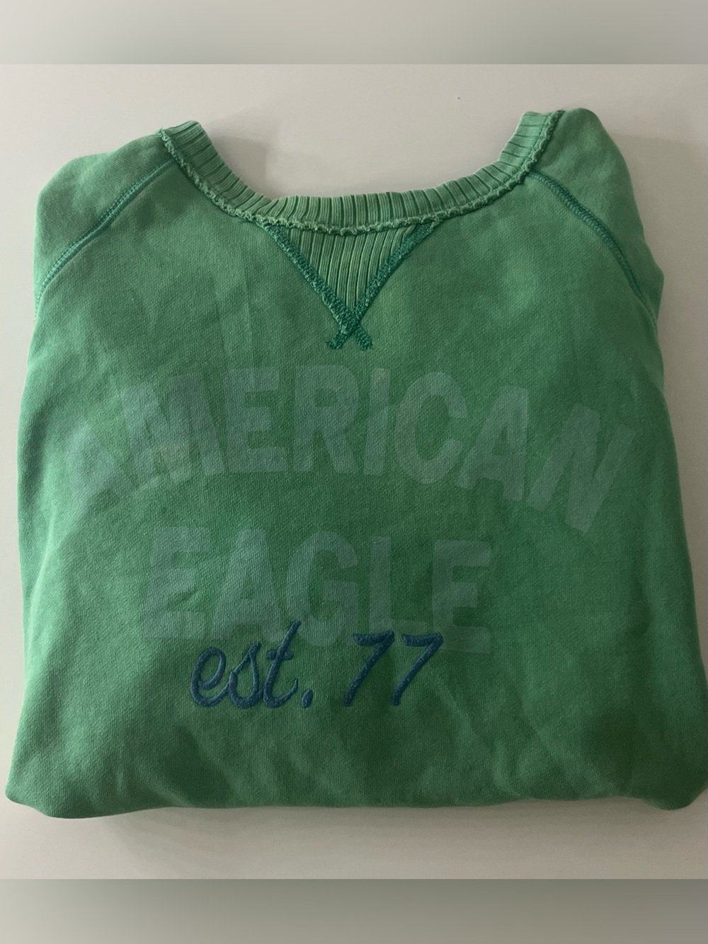 American Eagle Outfitters Green Crewneck Sweatshirt with Blue Embroidery